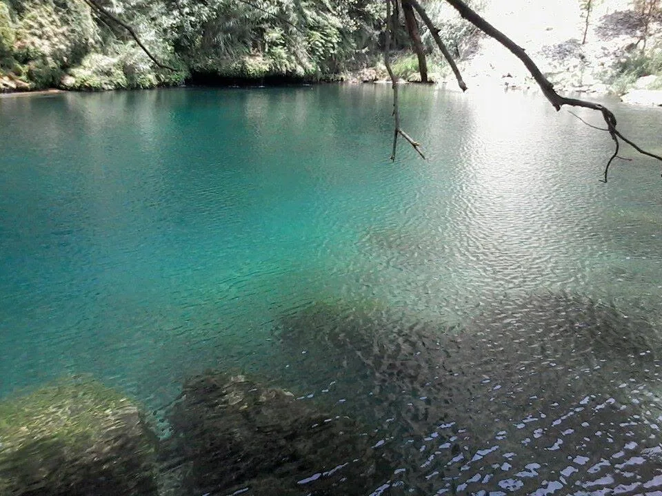 Swaik Lake Springs